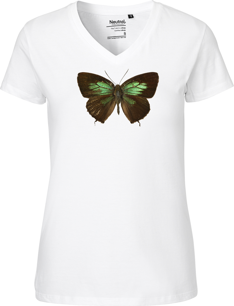 Green Lycaenid Butterfly Women's V-neck Tee