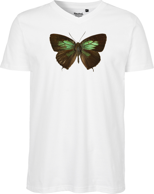 Green Lycaenid Butterfly Men's V-neck Tee