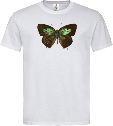 Green Lycaenid Butterfly Unisex Classic Tee