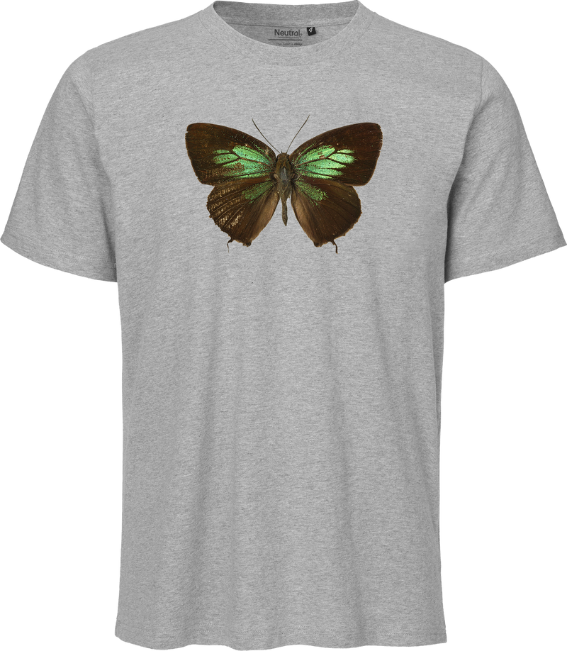 Green Lycaenid Butterfly Unisex Regular Tee