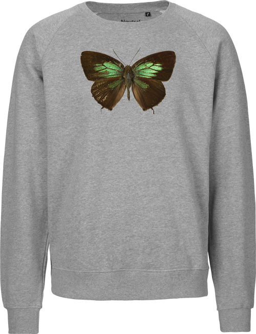 Green Lycaenid Butterfly Unisex Sweatshirt