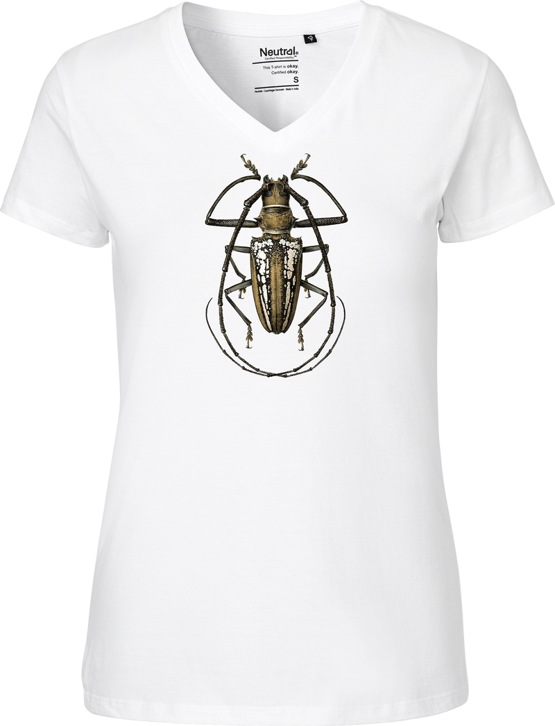 Batocera Longhorn Beetle Women's V-neck Tee
