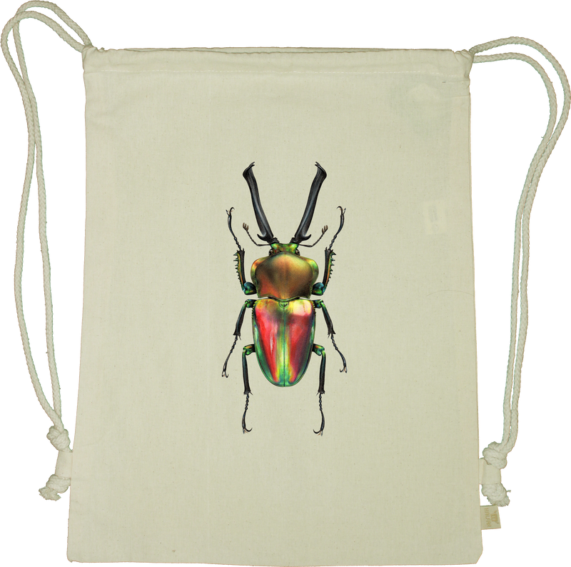Rainbow Stag Beetle Drawstring Gym Bag